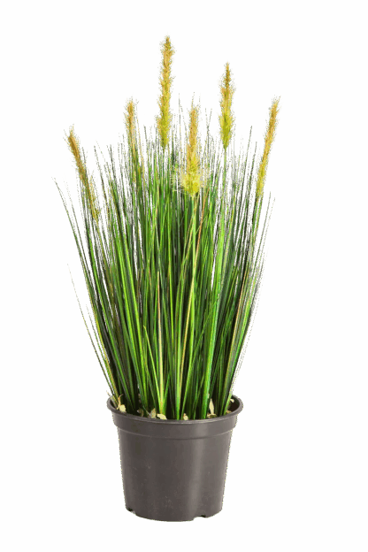 Künstlicher Fuchsschwanz - Peter | 60 cm*