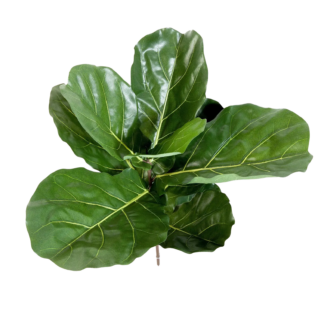 Künstlicher Geigenfeigen-Zweig - Fee | 58 cm*