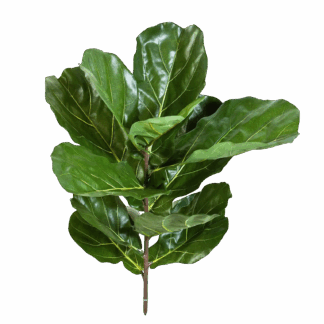 Künstlicher Geigenfeigen-Zweig - Flora | 77 cm*