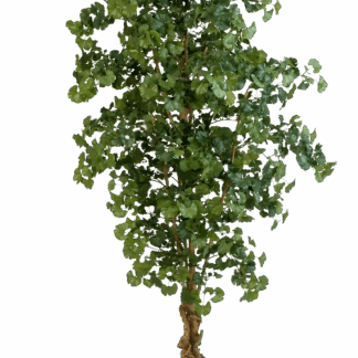 Künstlicher Gingko - Tamino | 210 cm*