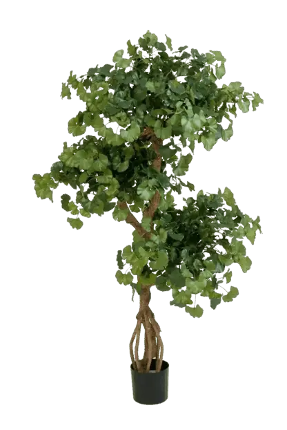 Künstlicher Gingko - Titus | 145 cm feuerhemmend*