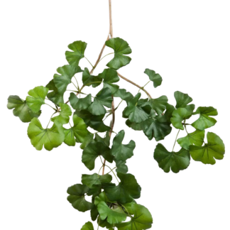 Künstlicher Gingko-Zweig - Giuliana | 60 cm*