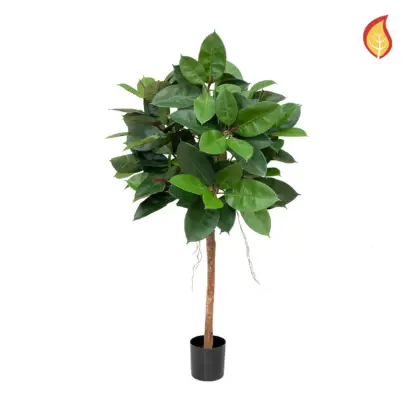 Künstlicher Gummibaum - Carsten | 90 cm*