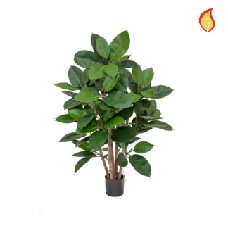 Künstlicher Gummibaum - Erich | 60 cm*