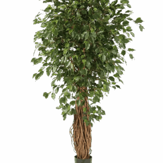 Künstlicher Gummibaum - Josefine | 120 cm*