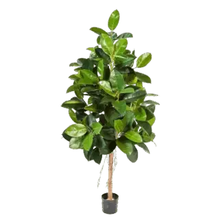 Künstlicher Gummibaum - Karim | 140 cm*