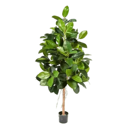 Künstlicher Gummibaum - Karim | 140 cm*