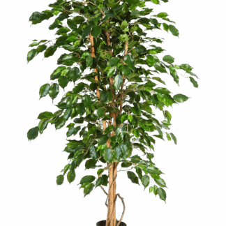 Künstlicher Gummibaum - Karla | 120 cm*