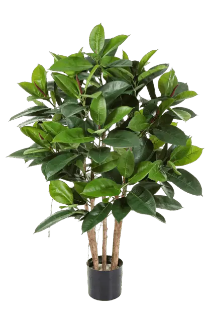 Künstlicher Gummibaum - Laura | 120 cm*