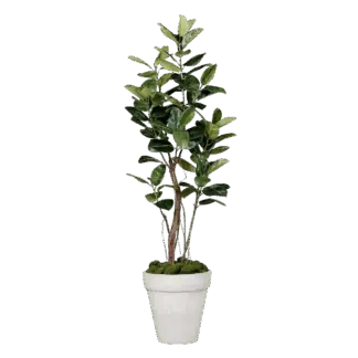 Künstlicher Gummibaum - Mulan | 220 cm*