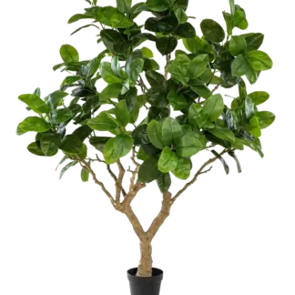 Künstlicher Gummibaum - Temptus | 240 cm*