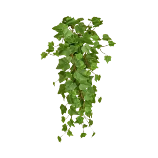 Künstlicher Hänge-Efeu - Michael | 55 cm*