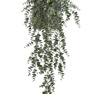 Künstlicher Hänge-Eucalyptus - Richard | 75 cm*