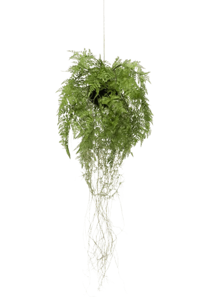 Künstlicher Hänge-Farn - Jolie | 35 cm*