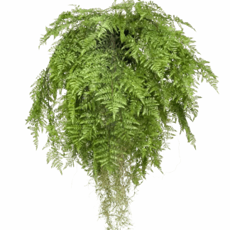 Künstlicher Hänge-Farn - Jule | 80 cm*