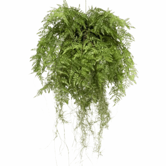 Künstlicher Hänge-Farn - Leopold | 55 cm*