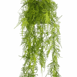 Künstlicher Hänge-Feder-Spargel - Luke | 80 cm*