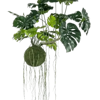 Künstlicher Hänge Monstera Moos Ball - Julian | 80 cm*