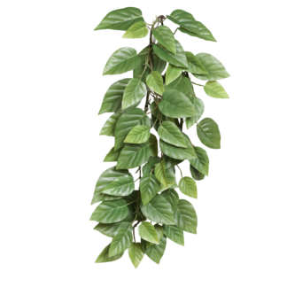 Künstlicher Hänge-Pothos - Mirabel | 75 cm*