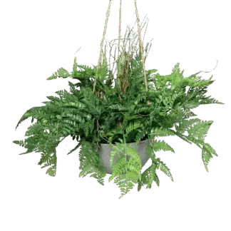 Künstlicher Hängefarn - Ismet | 32 cm | in Hängekunststoffschale*