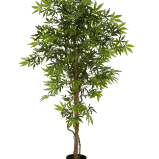 Künstlicher Japanischer Ahorn - Ottilie | 210 cm*