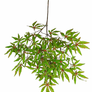 Künstlicher Japanischer Ahorn-Zweig - Fabian | 63 cm*
