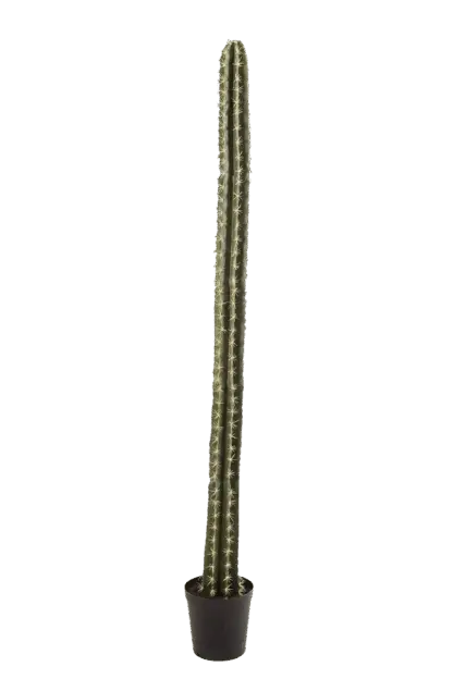 Künstlicher Kaktus - Hendrik | 206 cm*