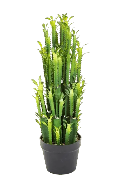 Künstlicher Kaktus - Hermine | 64 cm*