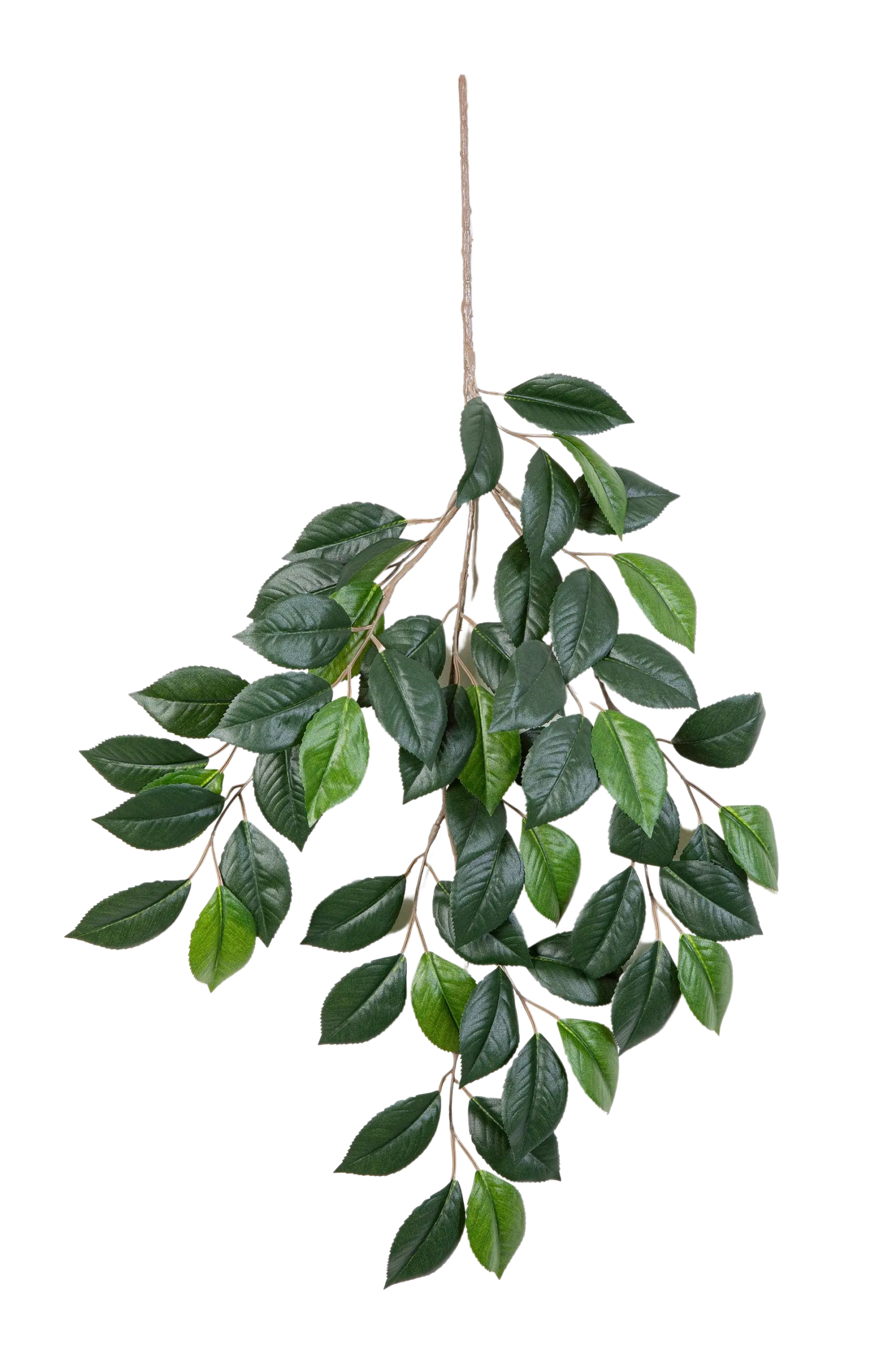 Künstlicher Kamelien Zweig - Benita | 55 cm*