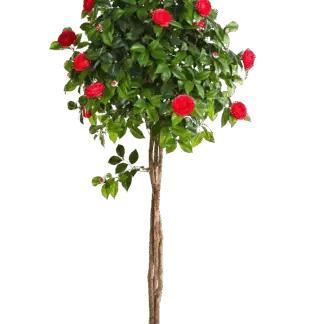 Künstlicher Kamelienbaum - Pelin | 160 cm*