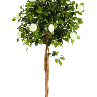 Künstlicher Kamelienbaum - Pina | 160 cm*