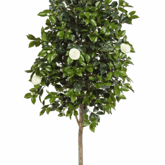 Künstlicher Kamelienbaum - Polly | 170 cm*