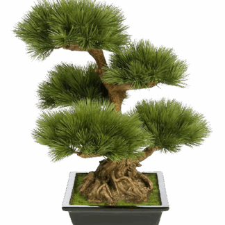 Künstlicher Kiefer-Bonsai - Samira | 60 cm*