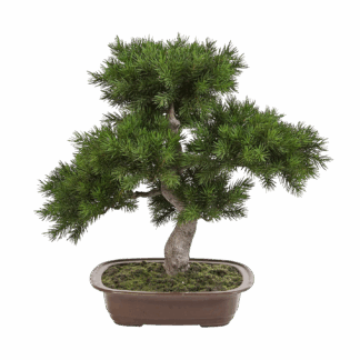 Künstlicher Kiefer-Bonsai - Sina | 48 cm*