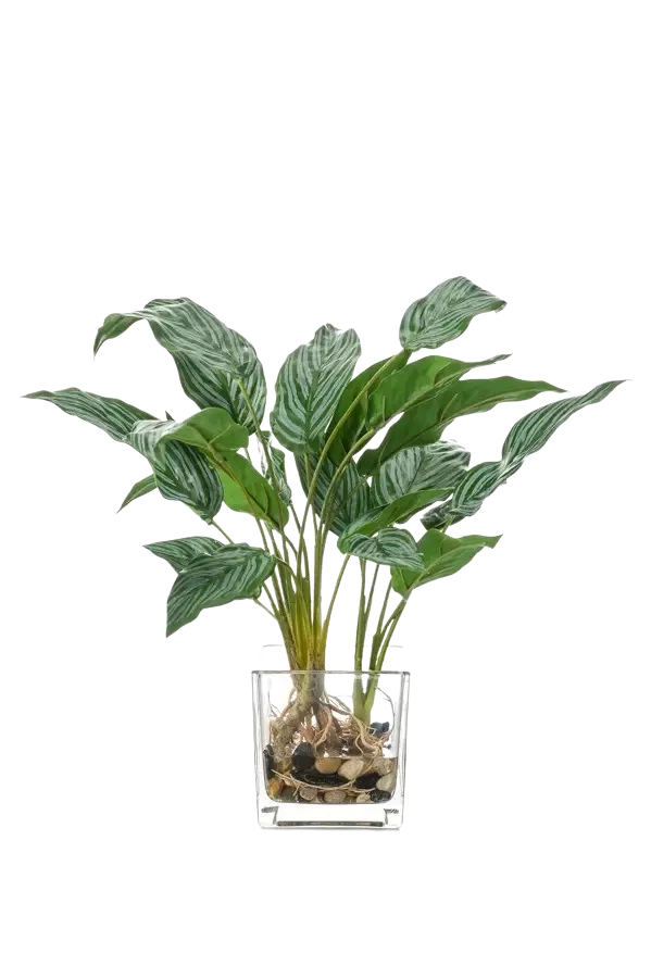 Künstlicher Kolbenfaden - Jakob | 45 cm*