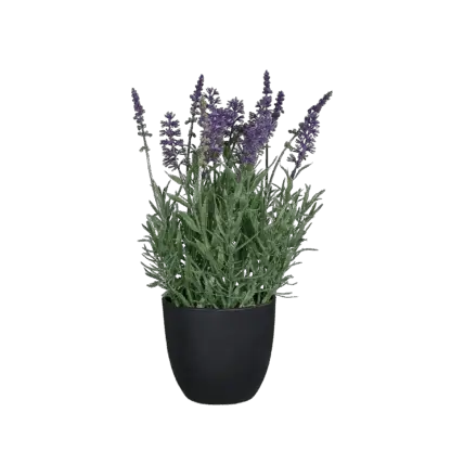 Künstlicher Lavendel - Ibo |31 cm*