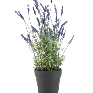 Künstlicher Lavendel - Wendelin | 50 cm*