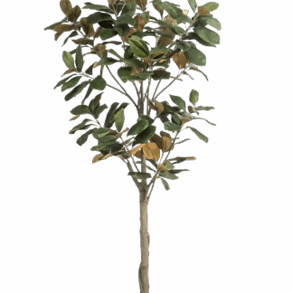 Künstlicher Magnolien Baum - Anja | 180 cm*