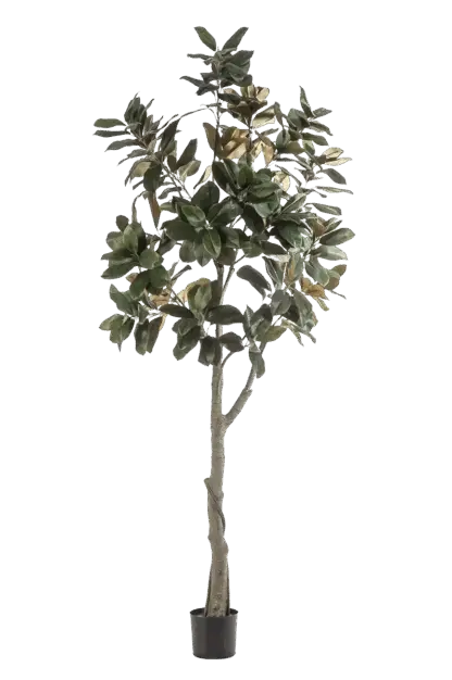 Künstlicher Magnolien Baum - Skyler | 240 cm*