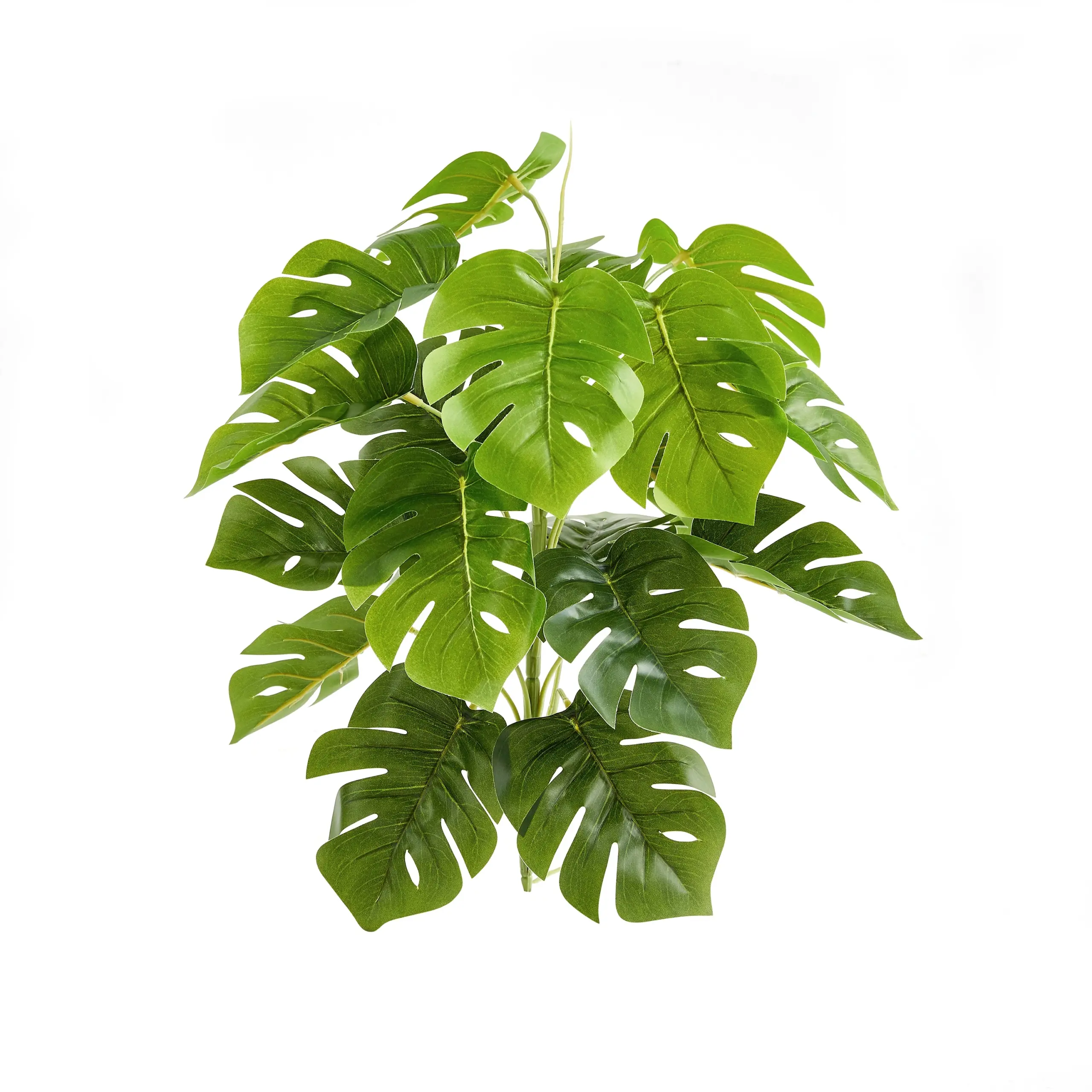 Künstlicher Monstera – Alenia | 50 cm*