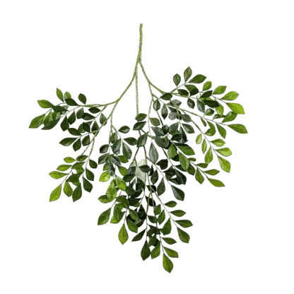 Künstlicher Murraya Zweig - Benjamin | 71 cm*