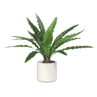 Künstlicher Nestfarn - Yueh | 70 cm*
