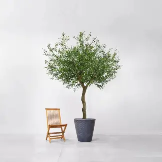 Künstlicher Olivenbaum - Annemarie | 230 cm*