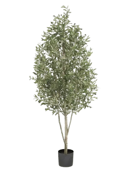 Künstlicher Olivenbaum - Cheyenne | 170 cm*