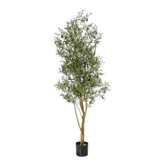 Künstlicher Olivenbaum - Elsbeth | 180 cm*