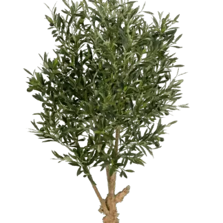 Künstlicher Olivenbaum - Ian | 120 cm*