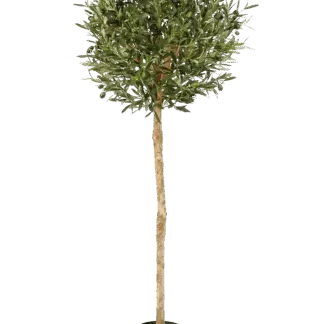 Künstlicher Olivenbaum - Isa | 140 cm*