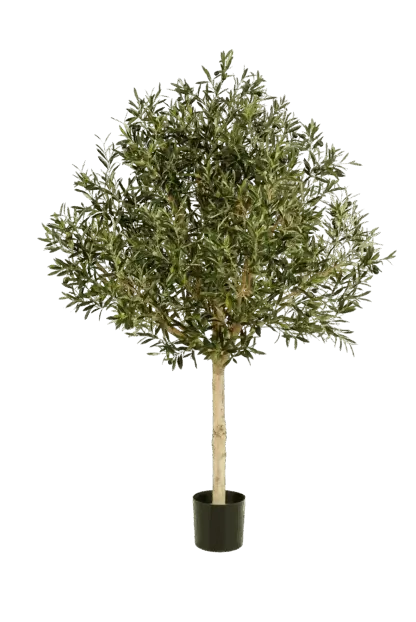 Künstlicher Olivenbaum - Ivy | 180 cm*