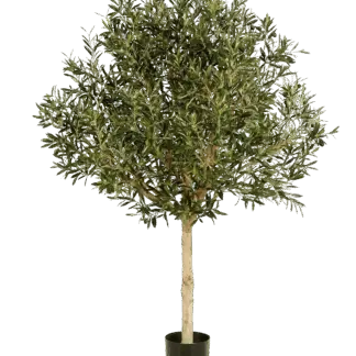 Künstlicher Olivenbaum - Ivy | 210 cm*