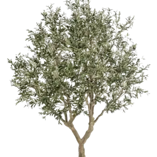 Künstlicher Olivenbaum - Mars | 250 cm*